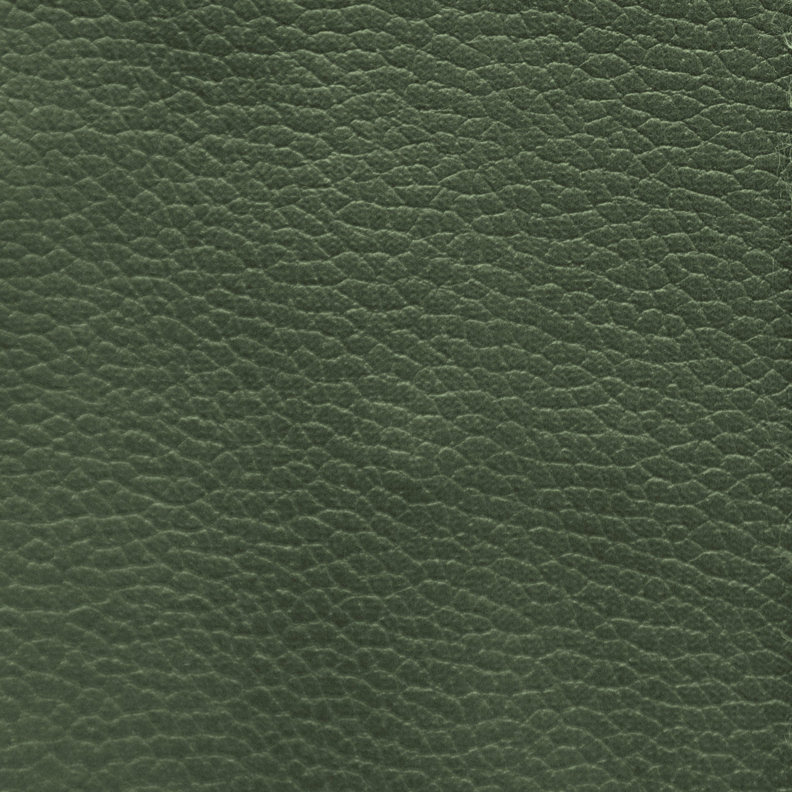 Piele Ecologica Verde pe suport textil